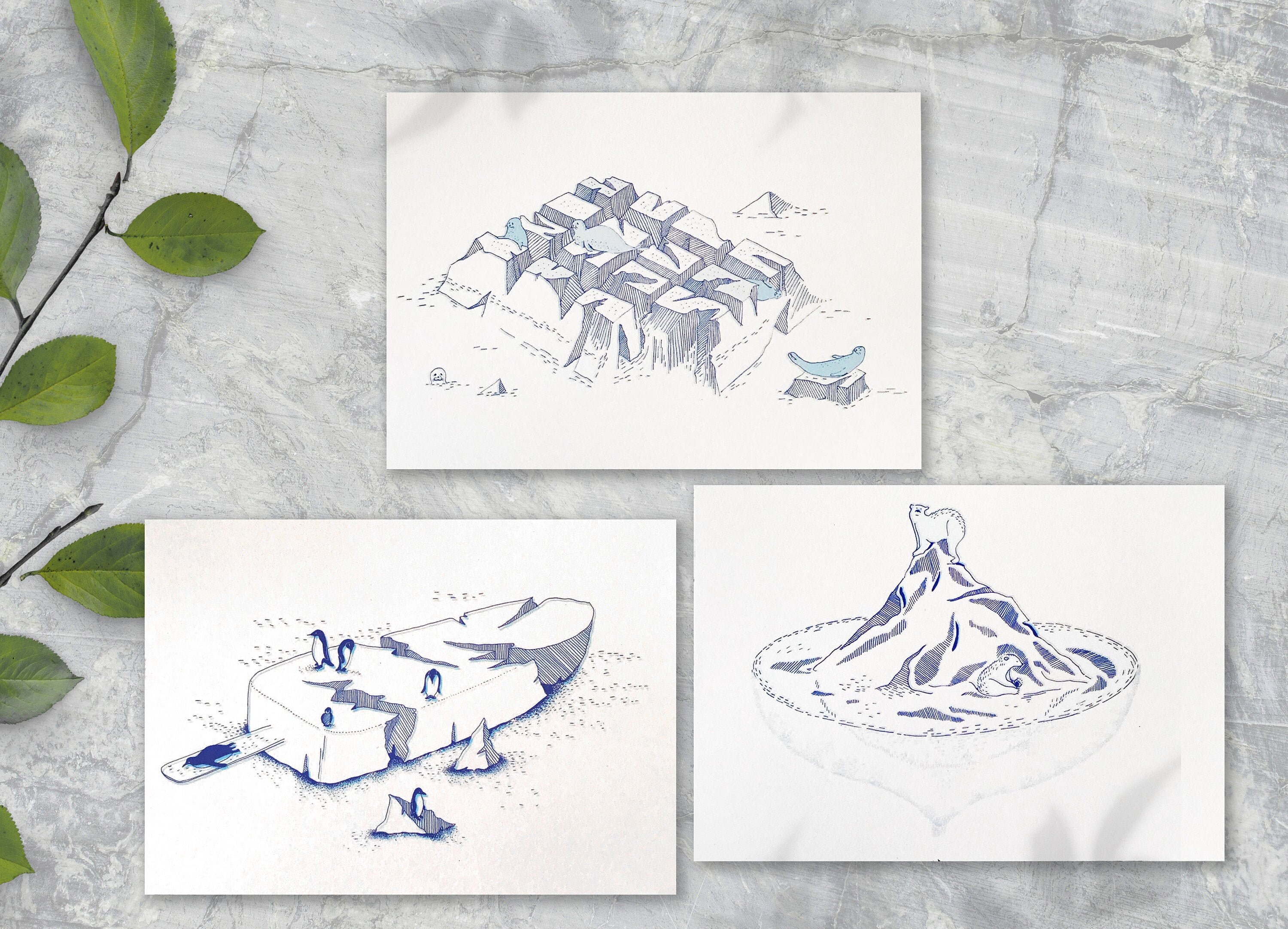 Cartes A5 Illustrations - Animaux et Écologie . Lignes Graphiques