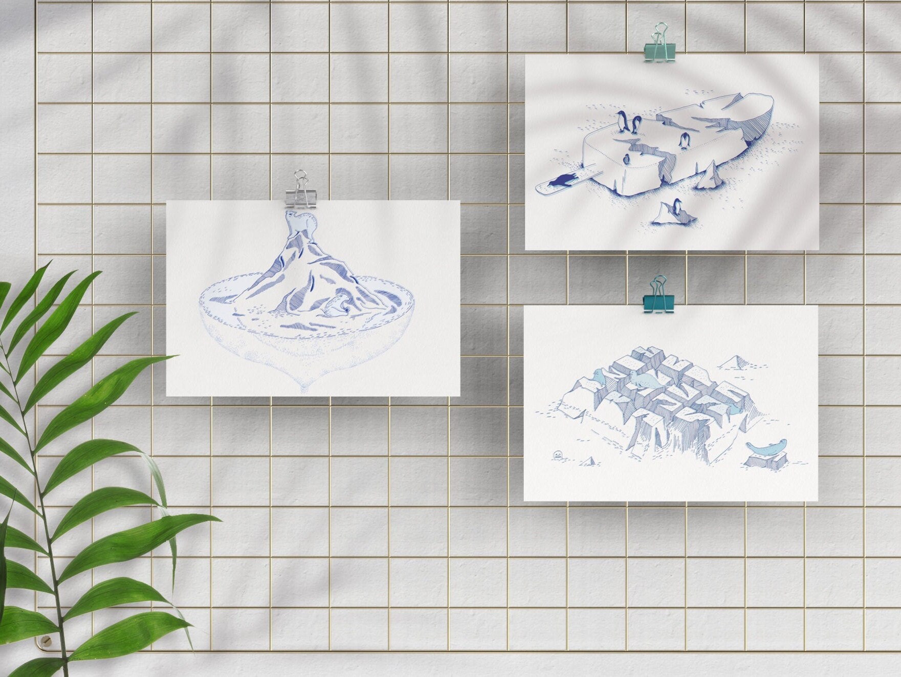 Cartes A5 Illustrations- Le Set de 3 Cartes - Animaux et Écologie . Lignes Graphiques