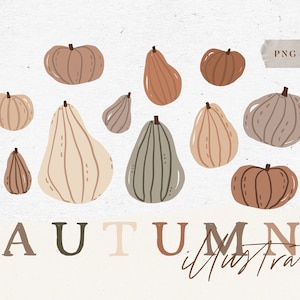 AUTUMN PUMPKIN BUNDLE / hand drawn vector and png