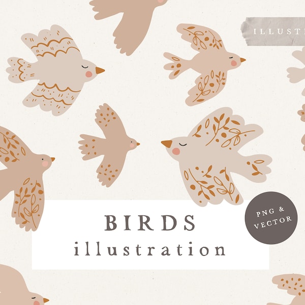 BIRDS CLIPART / vector and png bundle boho illustration hand drawn sketches