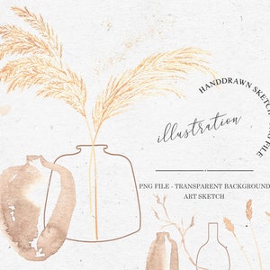 PAMPAS GRASS WATERCOLOR / vector and png bundle botanical illustration hand drawn sketches