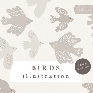 BIRDS GREY CLIPART / vector and png bundle boho illustration hand drawn sketches