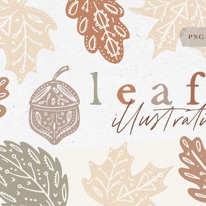 AUTUMN LEAVES BUNDLE / hand drawn vector and png
