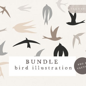 CLIPART DI MATISSE BIRDS / pacchetto vettoriale e png boho illustrazione schizzi disegnati a mano