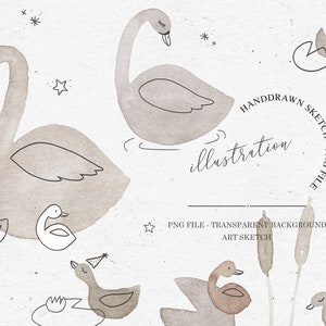 BUNDLE SWAN CLIPART / clipart d’illustration png aquarelle dessiné à la main pour bébés et enfants