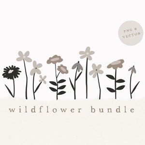 CLIPART DE FLORES SILVESTRES / flores y hojas png y vector ilustración dibujada a mano