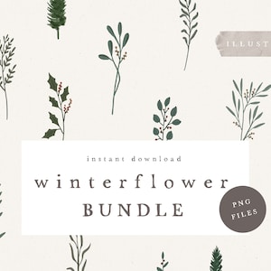 Könnte beinhalten: Ein Set mit 12 Winterblumen-Illustrationen im PNG-Format. Die Illustrationen zeigen verschiedene grüne Blätter mit roten Beeren. Der Text "Sofort-Download Winterflower Bundle PNG-Dateien" wird auf einem weißen Rechteck angezeigt.