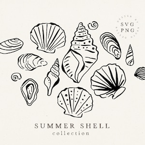SHELL ZOMER BUNDEL/svg png vector bundel hand getrokken schetsen schelpen