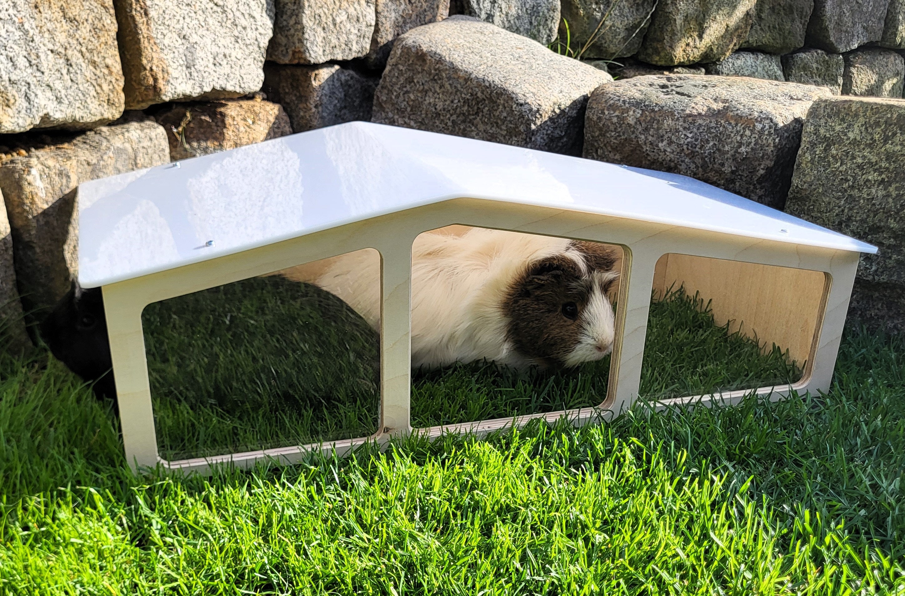 Modern Style Guinea Pig House. Speciesappropriate Shelter Etsy
