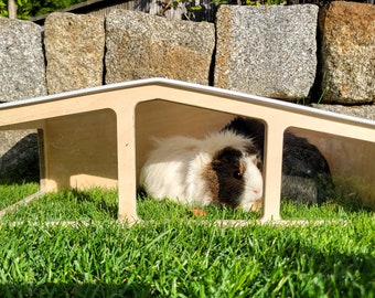 Modern style guinea pig house. Species-appropriate shelter made from wood multiplex.