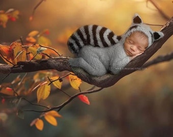 Baby raccoon costume knit outfit suit jumpsuit bonnet hat romper Halloween newborn infant sitter boy toddler gift animal photography props