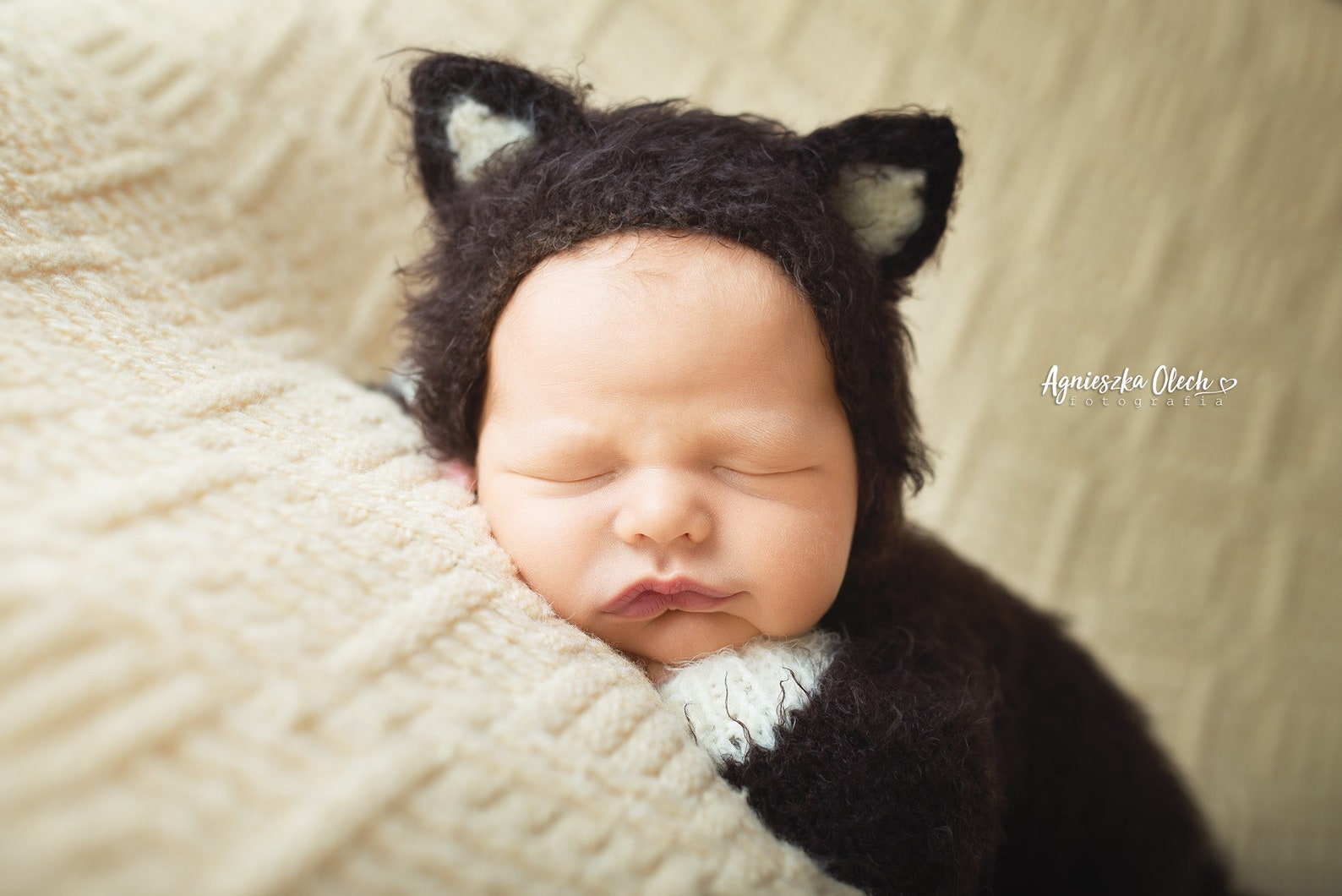 Newborn Cat Costume Kitty Kitten Knitted Outfit Suit Overall Etsy