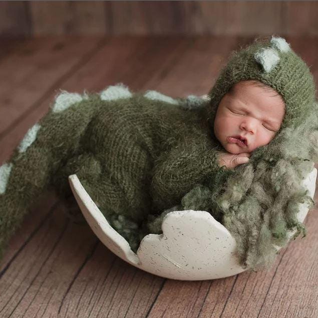 Baby Dinosaur Egg Costume
