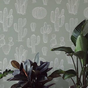 Carta da parati con cactus verde salvia / Succulente, staccabile e attaccabile, in tessuto o vinile, rimovibile, non incollato / Dimensioni personalizzate