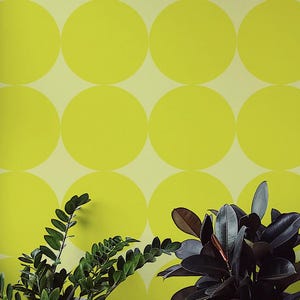 May include: A modern interior featuring a wall with a repeating pattern of large, lime green circles on a light yellow background. Three potted plants with green and dark leaves sit on the floor in front of the wall. A patterned rug and wooden table are also visible.