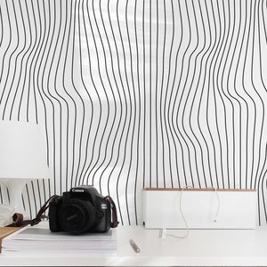 Black And White Mesh Lines wallpaper - Peel and Stick Wallpaper or Non Pasted Wallpaper / Line art Removable wallpaper / Black wallpaper