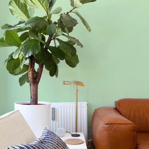 Könnte beinhalten: Eine große Geigenfeige in einem weißen Topf. Eine goldfarbene Lampe und ein braunes Ledersofa befinden sich im Hintergrund. Ein gemustertes Kissen liegt auf einem cremefarbenen Sofa. Die Wand ist hellgrün.