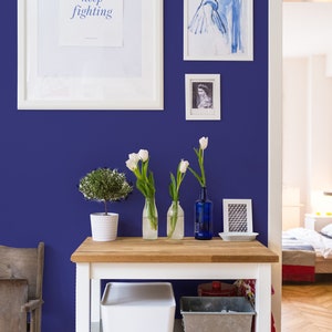 Fancy Walls Minimalist Removable Wallpaper