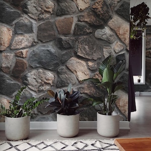 May include: A stone wall backdrop with a variety of plants in white pots. The plants are in front of a rug with a black and white geometric pattern. The wall is made of various shades of grey, brown, and tan stones.