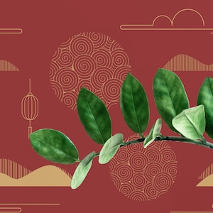 China pattern Peel and Stick wallpaper / Chinoiseries pattern Removable wallpaper / Red wallpaper - Self-adhesive or Traditional