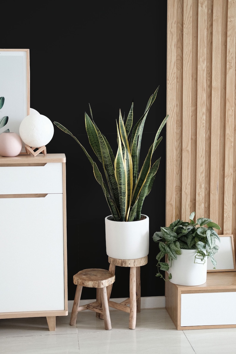 Solid Black Peel and Stick Wallpaper / Solid Black Removable Etsy