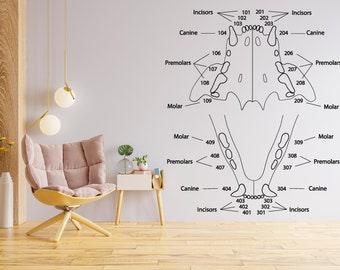 Dental Cat wall decal Cat decor Cat Tooth Cat wall art Decal Dog Lover Animals wall decal Dog Wall Bathroom Decals Stickers Vinyl 4775ER