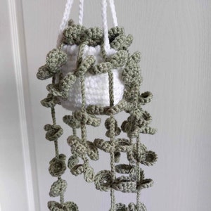 Crochet house plant hanging plant potted plant crochet ornament gift for her plant lover modern plant decor eucalyptus plant mothers gift