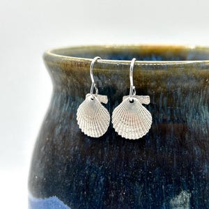 May include: A pair of silver scallop shell earrings with a delicate design. The earrings are hanging from a ceramic vase.
