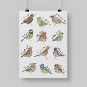 A4 Poster Heimische Vögel, Gartenvögel Poster, Poster Vögel, Aquarell Vögel, Poster Naturfreunde, Weihnachtsgeschenk