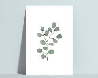 Postkarte "Eukalyptuszweig", Eukalyptus Karte, Postkarte Pflanzen, Postkarte Greenery, Karte Greenery, botanische Postkarte, Grußkarte