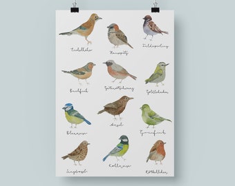 Poster Gartenvögel, Lernposter Vögel, Kinderzimmer Poster, Geschenk zur Einschulung, Naturliebhaber, Natur Poster