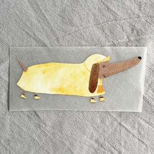 Peut inclure: Un teckel jaune portant un imperméable jaune et un chapeau jaune avec un visage brun et des oreilles brunes.