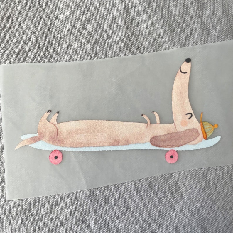 Może przedstawiać: Brązowy pies rasy dachshund w ż&oacute;łto-białym kapeluszu leży na jasnoniebieskiej desce skateboardowej z r&oacute;żowymi k&oacute;łkami. Dachshund uśmiecha się i ma zamknięte oczy.