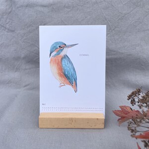 Puede incluir: Una p&aacute;gina de calendario blanca para el mes de mayo con una ilustraci&oacute;n en acuarela de un mart&iacute;n pescador con plumaje azul y naranja. El texto "EISVOGEL" est&aacute; impreso junto al ave y las fechas del calendario aparecen en la parte inferior.