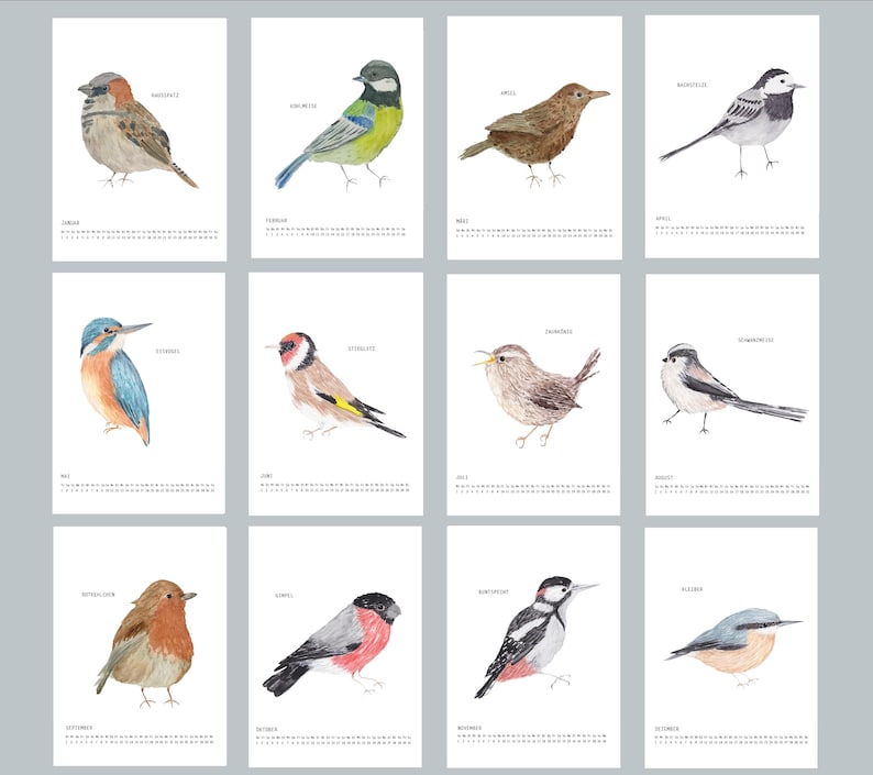 Puede incluir: Un calendario de pared de doce p&aacute;ginas con ilustraciones en acuarela de varias aves. Cada p&aacute;gina muestra una especie de ave &uacute;nica con su nombre y el mes correspondiente, incluyendo una cuadr&iacute;cula de fechas numerada en la parte inferior.