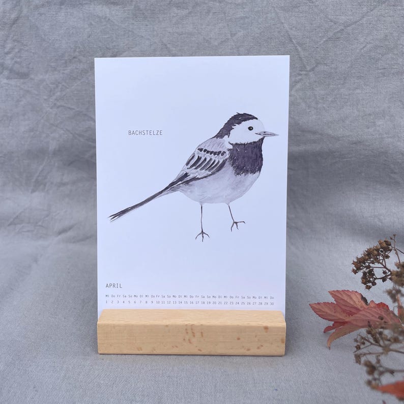 Puede incluir: Una p&aacute;gina de calendario blanca para abril que presenta una ilustraci&oacute;n en blanco y negro de un p&aacute;jaro etiquetado como Bachstelze. El papel se mantiene en posici&oacute;n vertical mediante un soporte de bloque de madera clara rectangular.