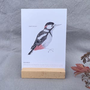 Puede incluir: Una tarjeta de calendario blanca para noviembre que presenta una ilustraci&oacute;n detallada de un p&aacute;jaro carpintero negro, blanco y rojo con el texto Buntspecht. La tarjeta se mantiene erguida mediante un bloque de madera claro sobre una tela gris.