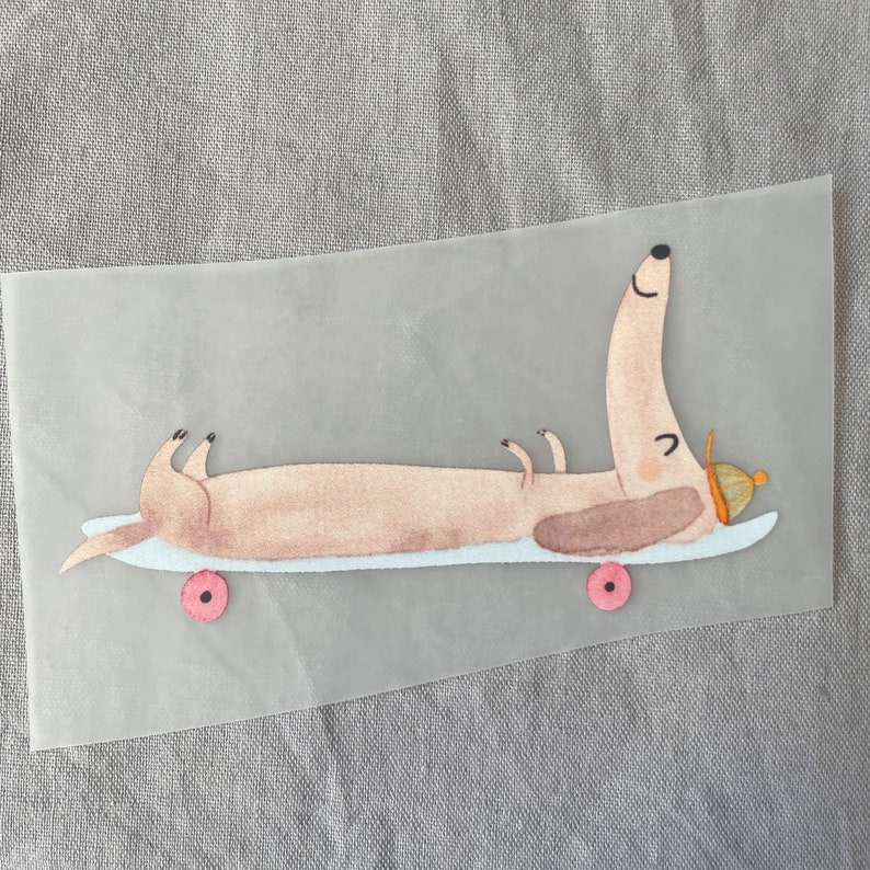 Bügelbild Dackel auf Skateboard