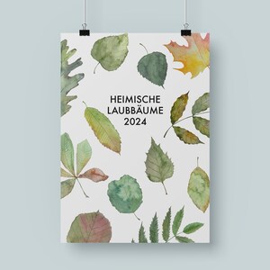 Wandkalender heimische Laubbäume, Kalender 2024, Weihnachtsgeschenk, Naturliebhaber