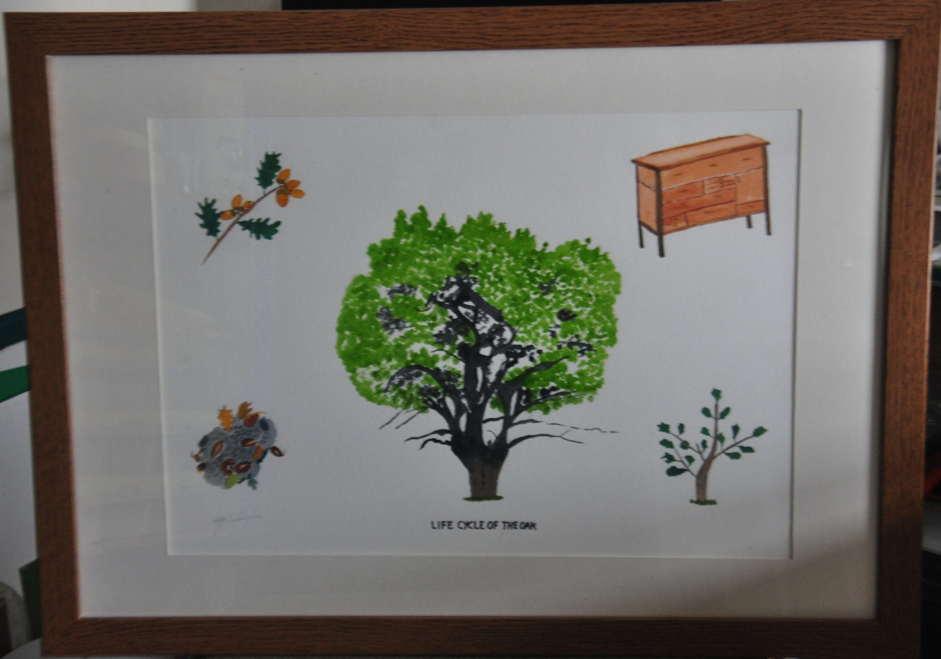 life-cycle-of-the-oak-etsy