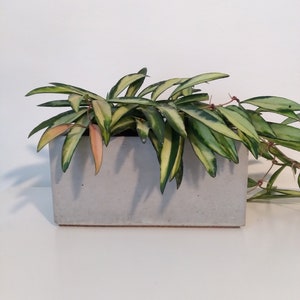 Rectangular concrete planter. Cement pot.
