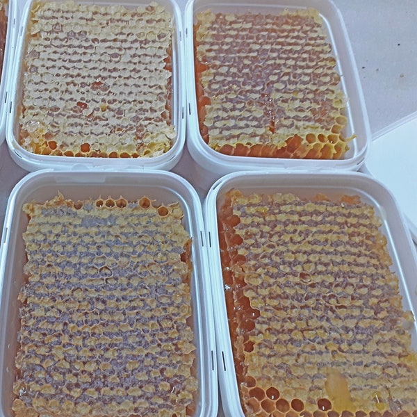 Comb Honey 1000 g / 36 oz., Raw Honeycomb, Fresh Pure Forest Honey, Unfiltered Unheated Direct from Beehives