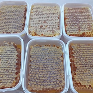 Comb Honey 56 oz., Raw Honeycomb 1600 g, Fresh Pure Forest Honey, Unfiltered Unheated Direct from Beehives, 2025 Harvest