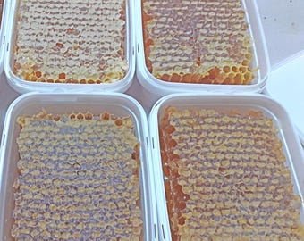 Miód w plastrach 1000 g, Surowy miód w plastrach 36 uncji, Niefiltrowany, niepodgrzewany miód z dzikich kwiatów prosto z uli