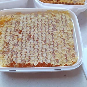 Miel cruda en panal (200 g), fresca y pura, procedente de colmenas, 2025