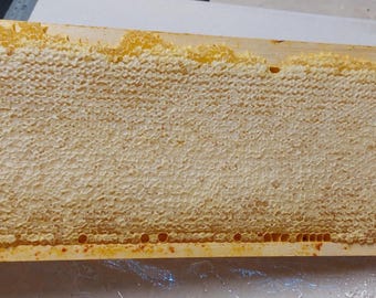 Honeycomb Whole Frame: miele di fiori selvatici non trattato, raccolto nel 2025