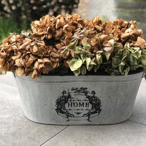 Zinc pot. Shabby chic. Easter gift!