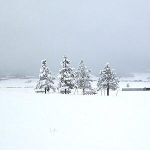 Hiver tranquille - Carte de notes vierge