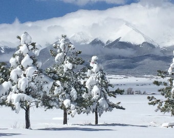 Winter in Colorado - Blank Notecard