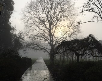 After the Rain - Blank Notecard